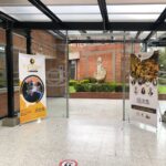 Previo CONCAP2021_3